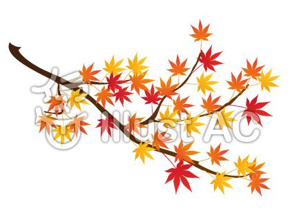 秋もみじ 紅葉のフリーイラスト素材で秋を彩ろう フリー素材図鑑