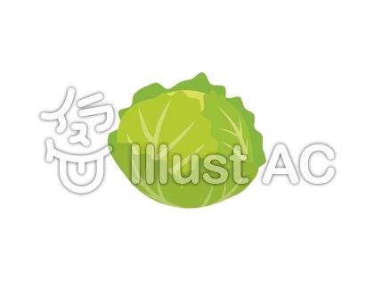 キャベツイラスト 無料イラストなら イラストac