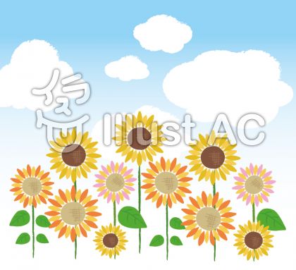 手書き ひまわり. 手書き ひまわり のイラスト