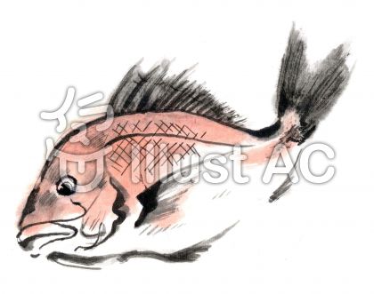 かわいいディズニー画像 最新かっこいい 鯛 イラスト フリー