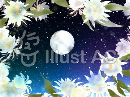 月下美人イラスト No 84235 無料イラストなら イラストac