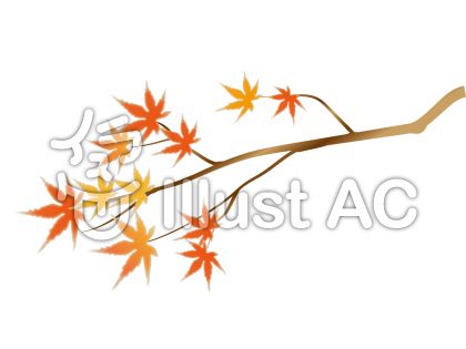 紅葉の木 イラスト No 88342 無料イラストなら イラストac