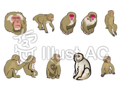 すべての動物の画像 最高かつ最も包括的な猿 イラスト リアル