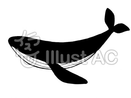 クジラシルエットイラスト 無料イラストなら イラストac