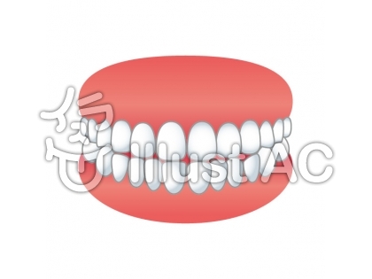 歯型イラスト 無料イラストなら イラストac