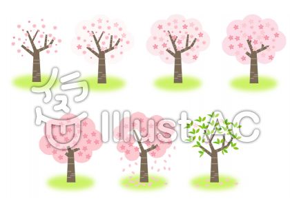 桜のつぼみイラスト 無料イラストなら イラストac