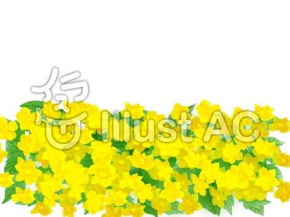 山吹の花イラスト 無料イラストなら イラストac