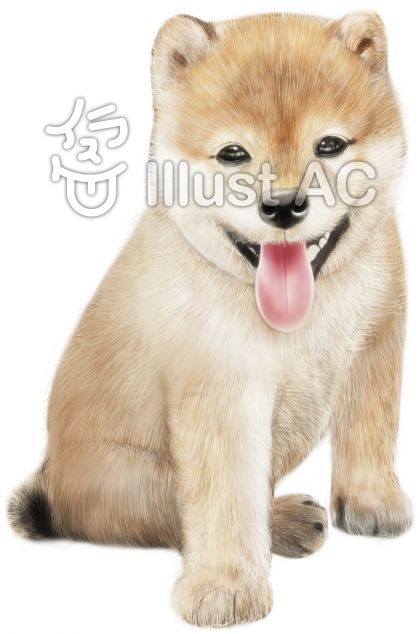 リアルな犬イラスト 無料イラストなら イラストac