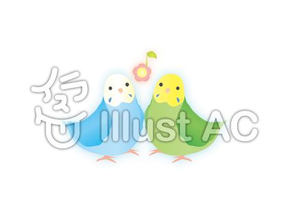 ベスト おしゃれ インコ イラスト かわいい 最高の壁紙のアイデアcahd