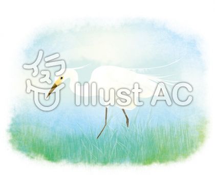 白鷺イラスト 無料イラストなら イラストac