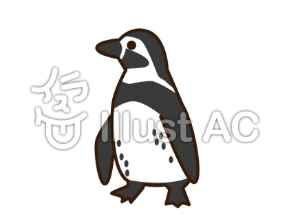 フンボルトペンギンイラスト No 0784 無料イラストなら イラストac