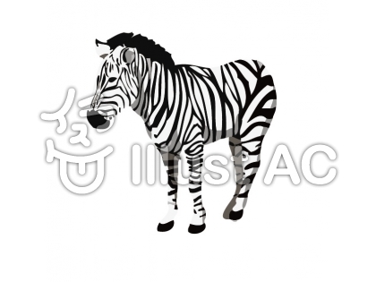 Zebra シマウマ イラスト 簡単