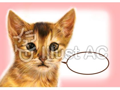 リアルでかわいい猫の無料イラスト フリー素材図鑑