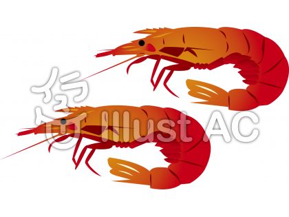 海老イラスト 無料イラストなら イラストac