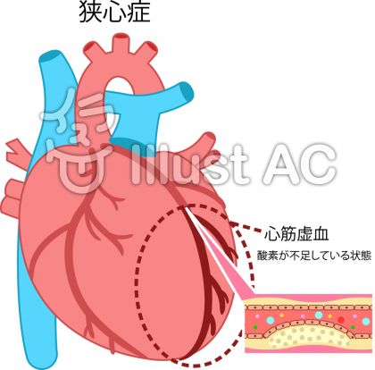 心臓イラスト 無料イラストなら イラストac