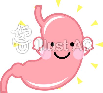 胃イラスト 無料イラストなら イラストac