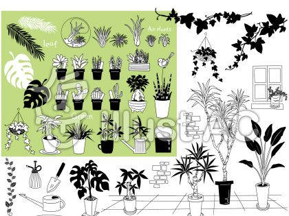 植物 鉢植え 観葉 植物 イラスト