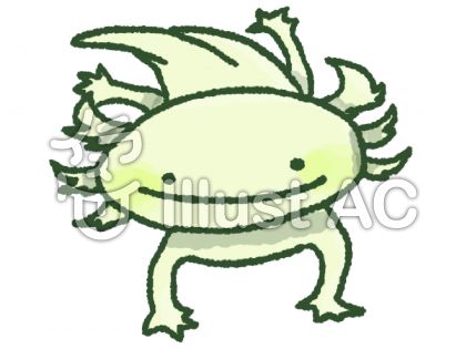 ウーパールーパー(黄緑)