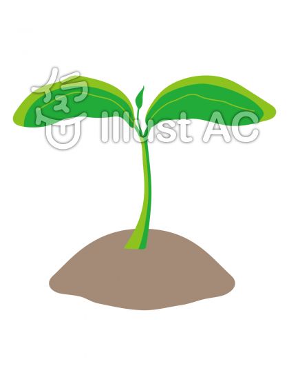 双葉イラスト 無料イラストなら イラストac