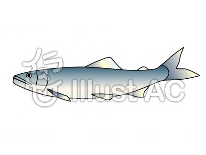 上鮎 イラスト 白黒 美しい花の画像