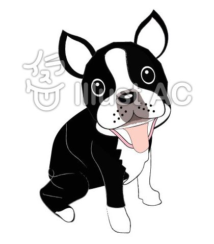 ボストンテリアイラスト 無料イラストなら イラストac