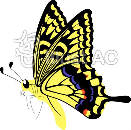 25 きれい 蝶々 イラスト 簡単 100 ベストミキシング写真 イラストレーション