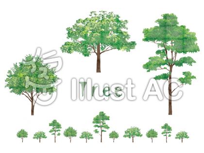 イラスト Treeイラスト No 無料イラストなら イラストac