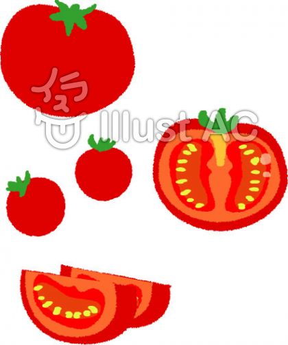 トマト 断面 イラスト 興味深い画像の多様性