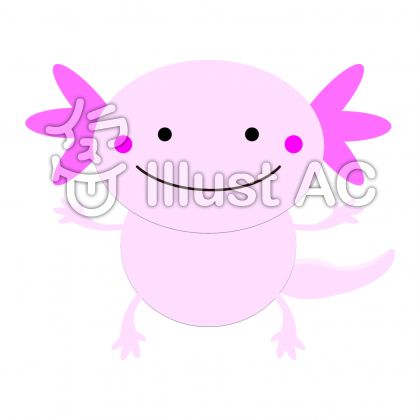 ウーパールーパー. ウーパールーパーのイラスト