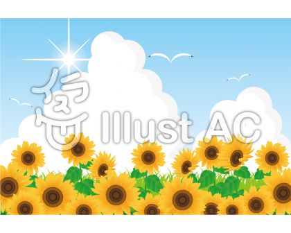 ひまわり畑イラスト 無料イラストなら イラストac