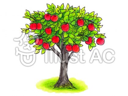 りんごの木イラスト 無料イラストなら イラストac