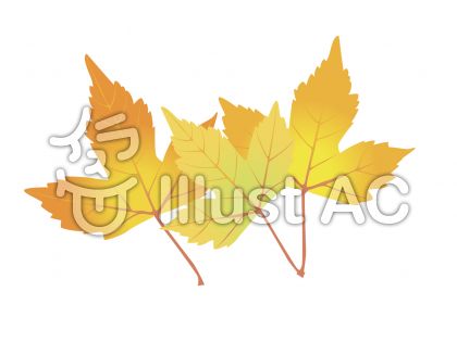 メープルイラスト 無料イラストなら イラストac