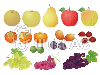 すだちイラスト 無料イラストなら イラストac