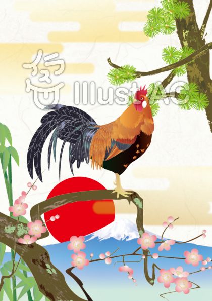 リアルニワトリイラスト 無料イラストなら イラストac