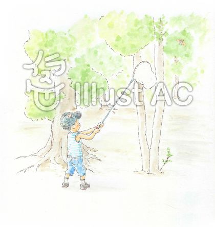 蝉取りイラスト 無料イラストなら イラストac