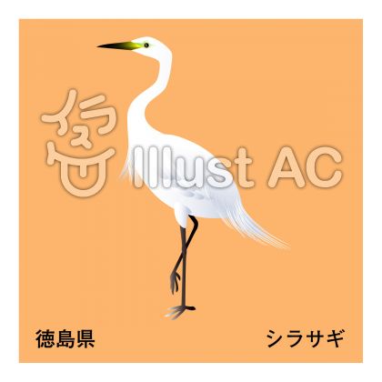 白鷺イラスト 無料イラストなら イラストac