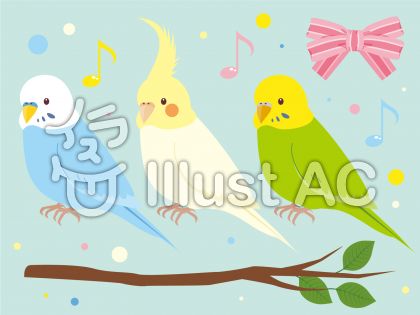 可愛いインコイラスト 無料イラストなら イラストac