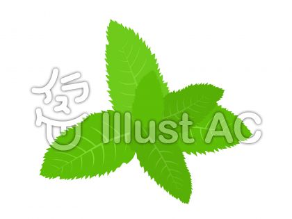 ミントイラスト 無料イラストなら イラストac
