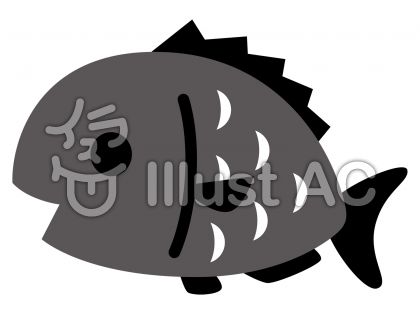 黒鯛イラスト 無料イラストなら イラストac