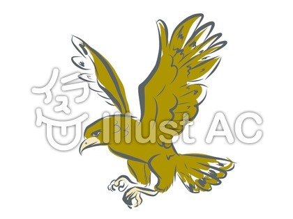 Falconイラスト 無料イラストなら イラストac