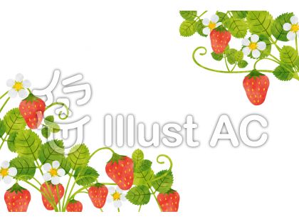 苺の花イラスト 無料イラストなら イラストac