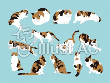 リアルでかわいい猫の無料イラスト フリー素材図鑑