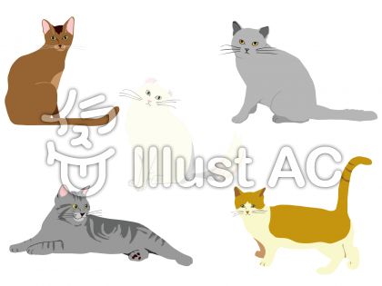 猫種イラスト 無料イラストなら イラストac