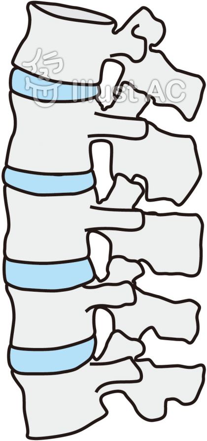 無料でダウンロード 脊椎 イラスト フリー 最高の壁紙のアイデアcahd