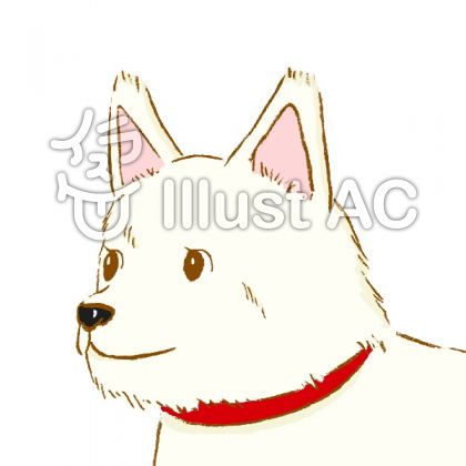 犬くん 顔だけ 白 イラスト No 7571 無料イラストなら イラストac