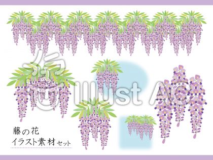 藤の花イラスト素材セットイラスト No 無料イラストなら イラストac