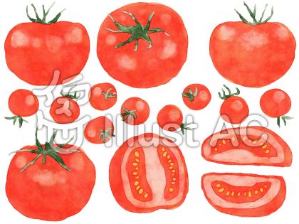 印刷 トマト 輪切り イラスト 最高の壁紙のアイデアcahd