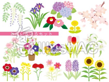 菜の花イラスト 無料イラストなら イラストac