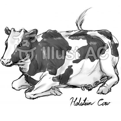 Cow Aイラスト No 2856 無料イラストなら イラストac