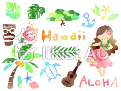 ハワイの花イラスト 無料イラストなら イラストac